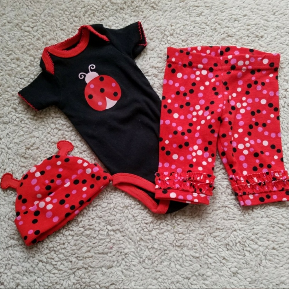 Baby Lady Bug